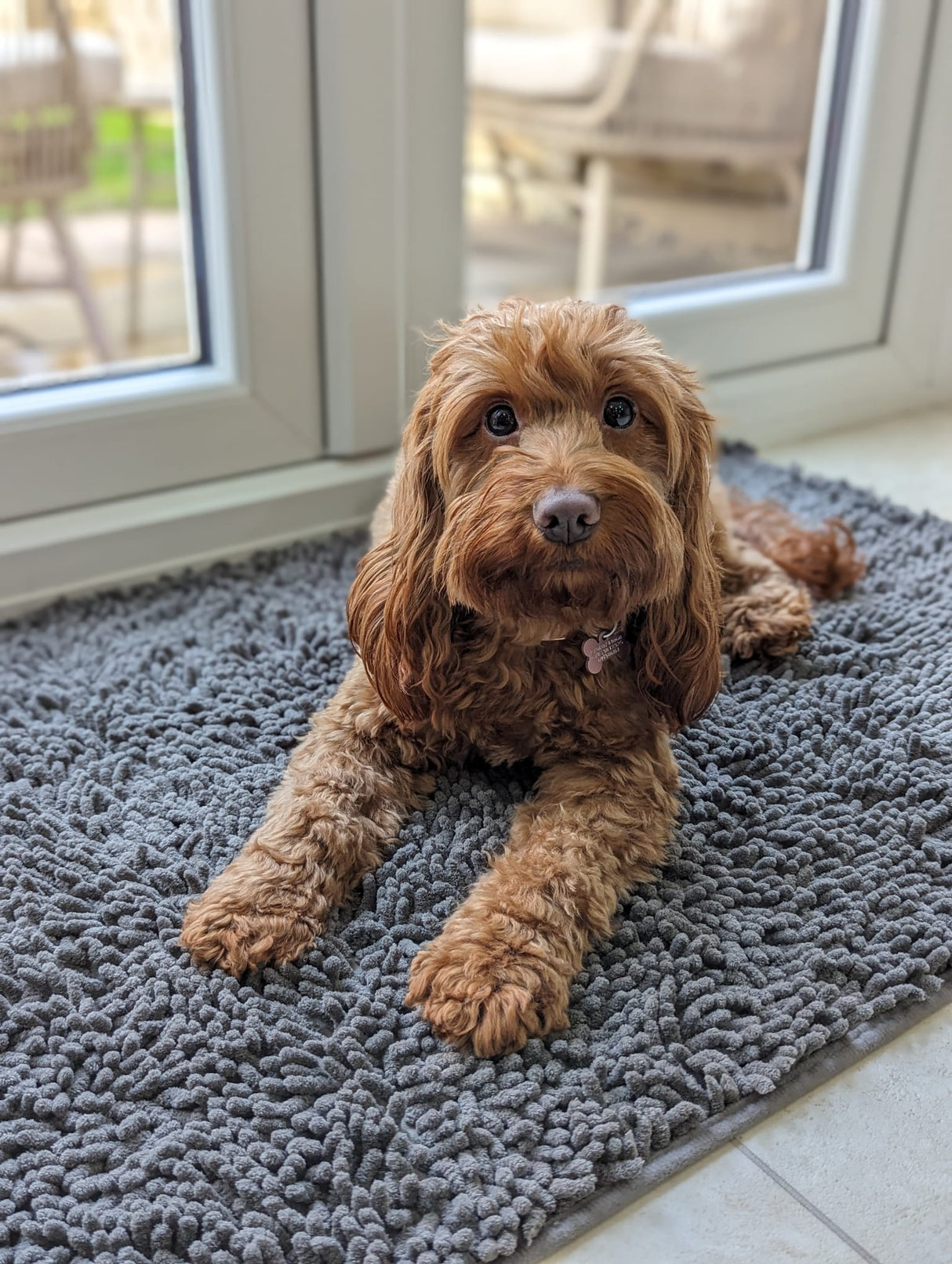 Plush Microfibre Noodle Mat Towels Pet Wiz