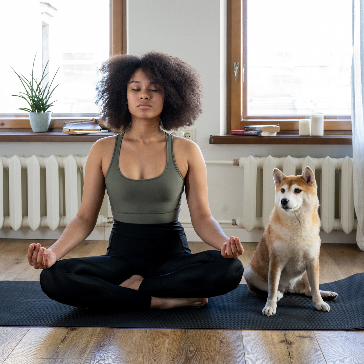 Calming Additive - Natural Liquid Valerian to Help Calm Dogs - 500ml Supplements Pet Wiz