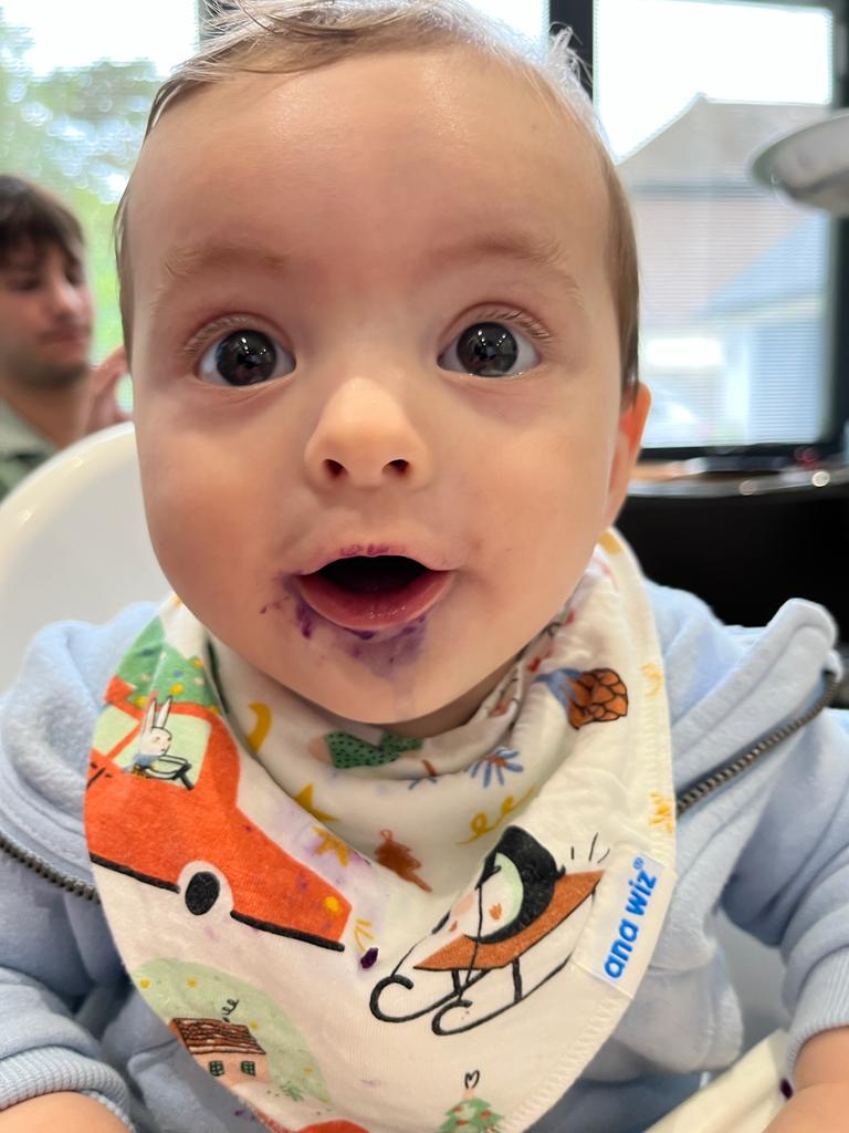 Baby Bandana Bibs (Pack of 5) Baby Bandana Bibs Ana Wiz