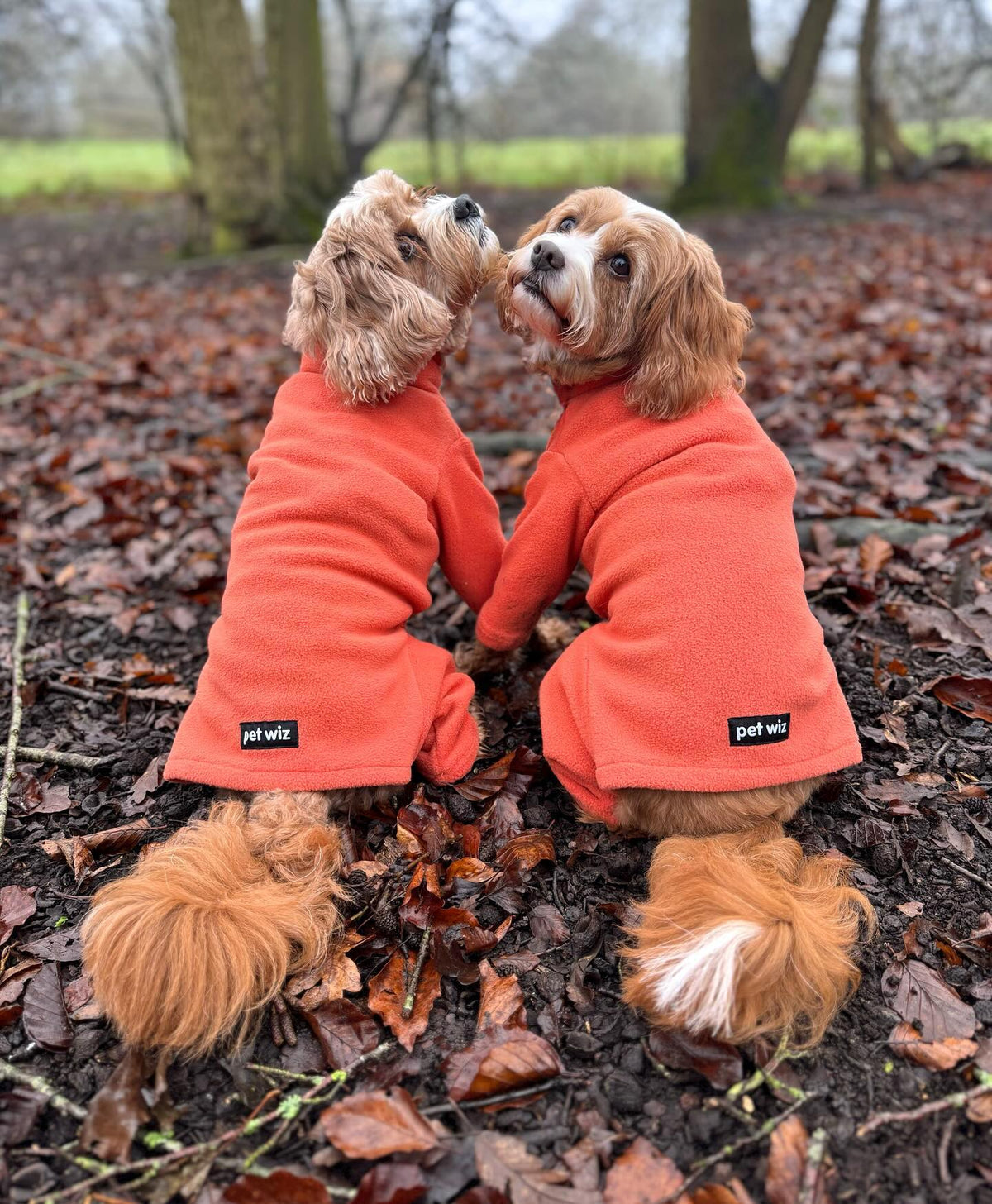 Four Legged Dog Fleece Jumpers Pet Wiz