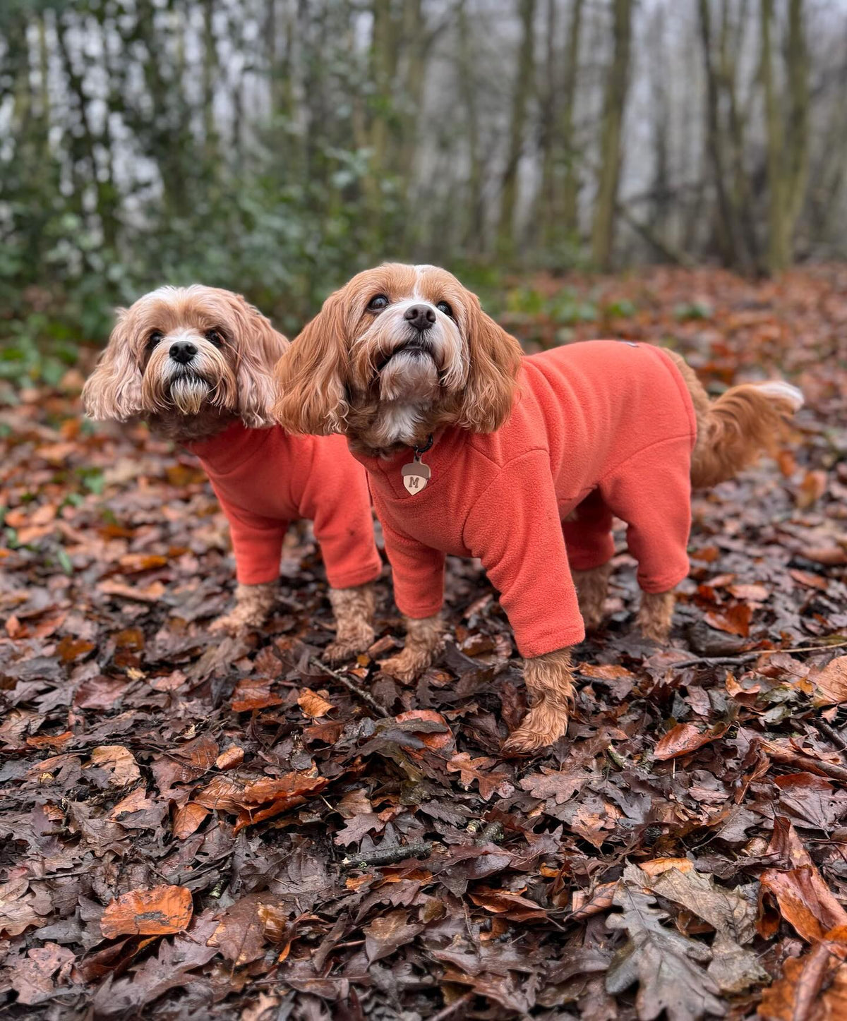 Four Legged Dog Fleece Jumpers Pet Wiz
