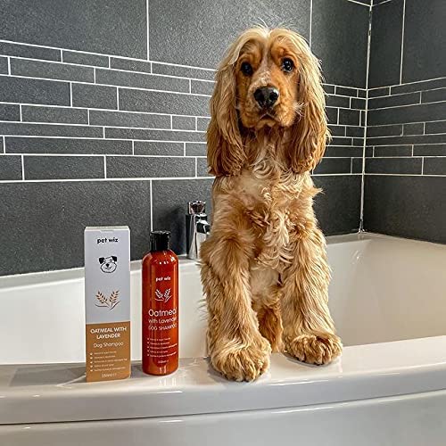 Oatmeal with Lavender Dog Shampoo - Expired March 2024 Grooming Pet Wiz