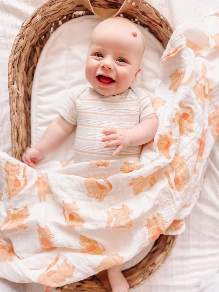 Extra Large Super Soft Muslins - Animal Designs - Gift Pack Baby Health Ana Wiz