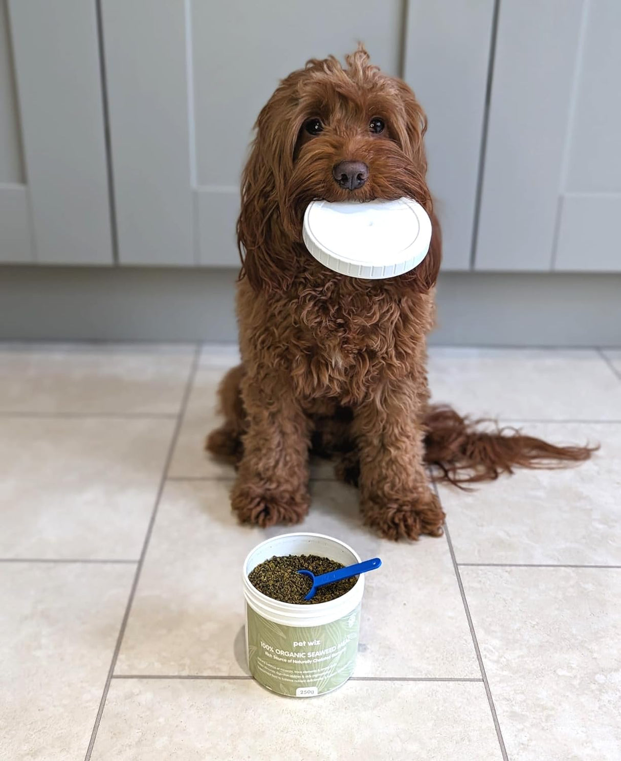 100% Organic Seaweed Meal Supplements Pet Wiz