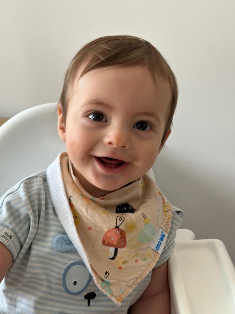 Baby Bandana Bibs (Pack of 5) Baby Bandana Bibs Ana Wiz