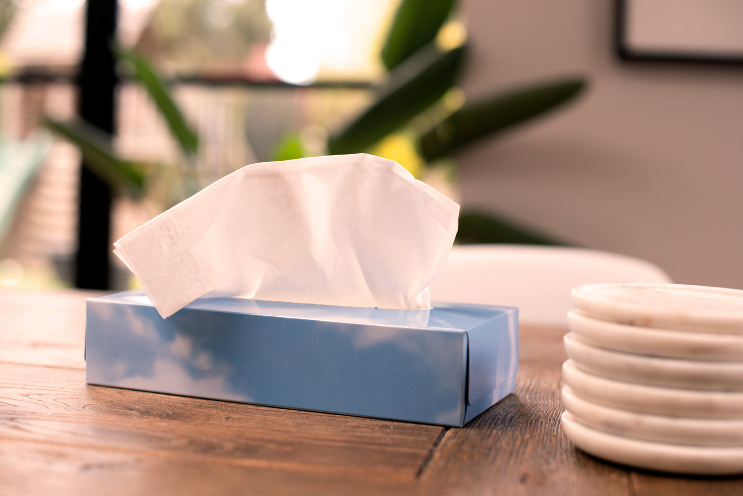 Soft White Facial Tissues, Box of 100 Tissues Ana Wiz