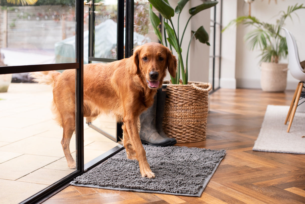 Plush Microfibre Noodle Mat Towels Pet Wiz