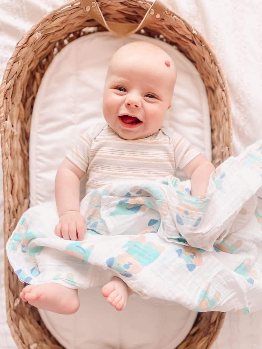 Extra Large Super Soft Muslins - Animal Designs - Gift Pack Baby Health Ana Wiz