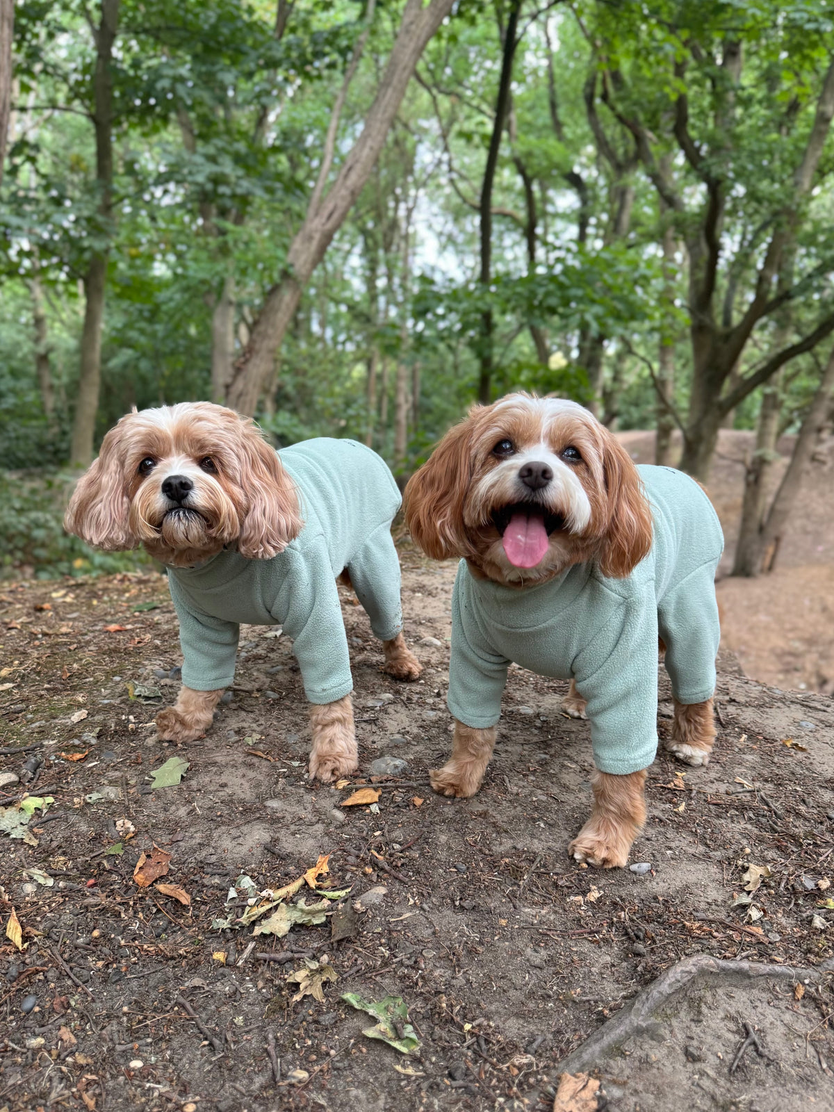 Four Legged Dog Fleece Jumpers Pet Wiz
