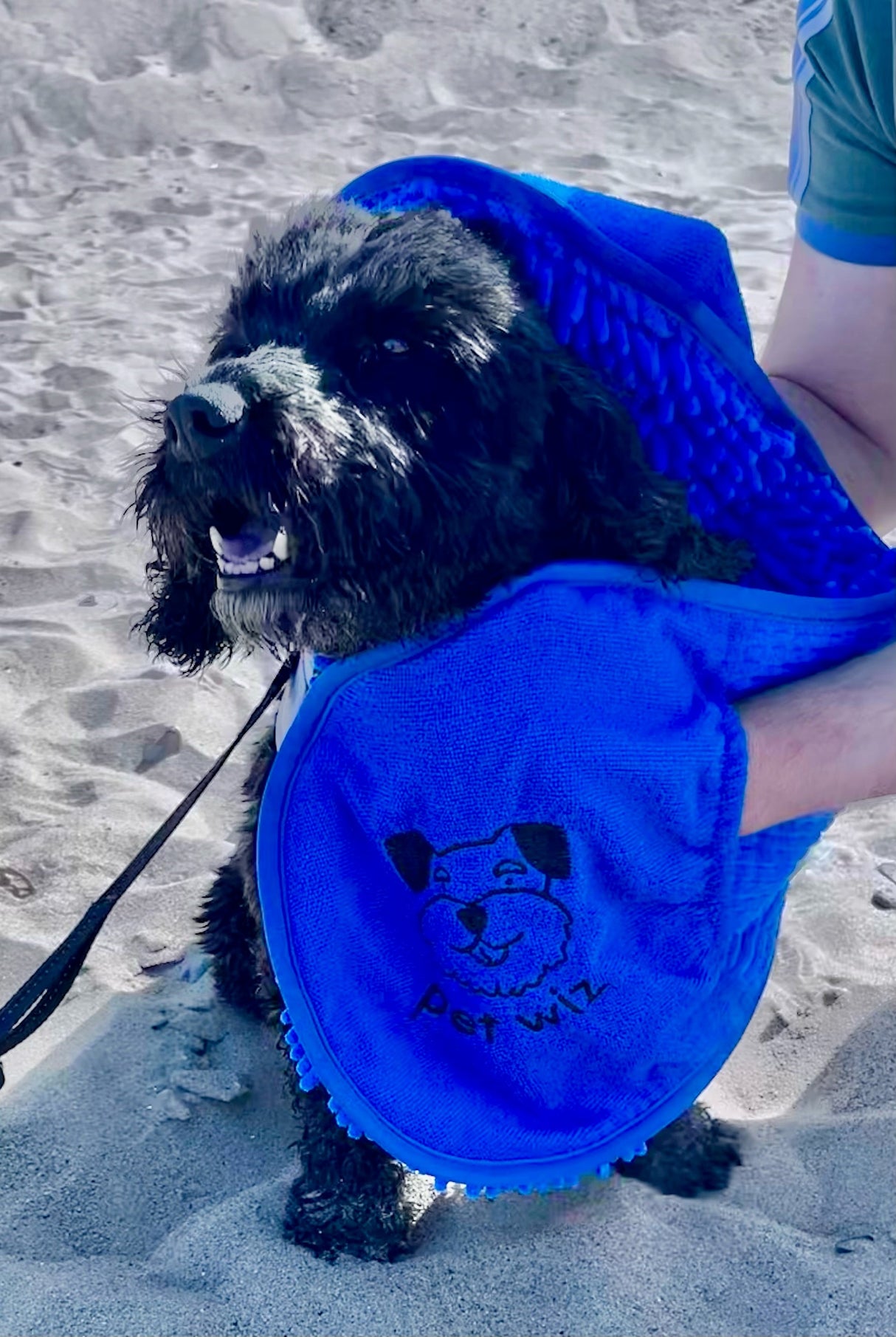 Quick Drying Microfibre Noodle Towel Towels Pet Wiz