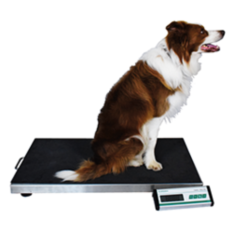V-150 Large Veterinary Scale Medical Scales Marsden