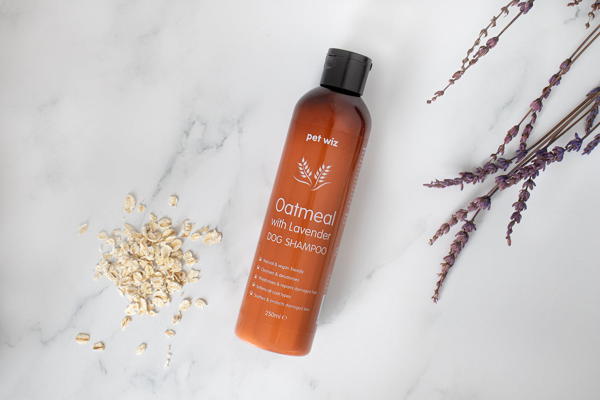 Oatmeal with Lavender Dog Shampoo - Expired March 2024 Grooming Pet Wiz