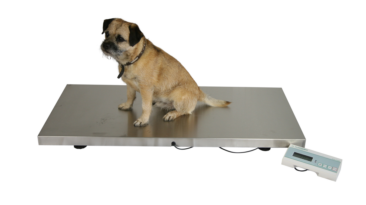 V-250 Large Veterinary Scale Medical Scales Marsden