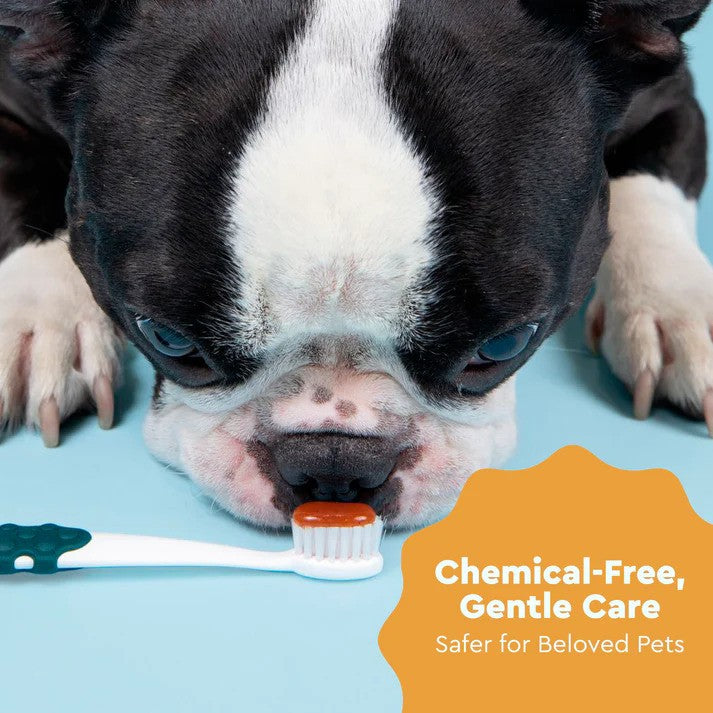 Soft Pet Toothbrush Dog Toothbrush RADIUS