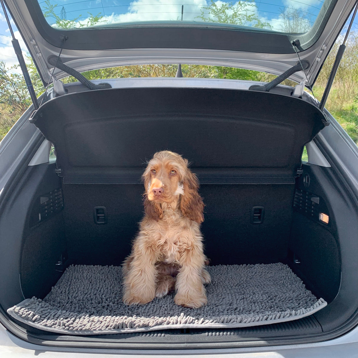 Plush Microfibre Noodle Mat Towels Pet Wiz