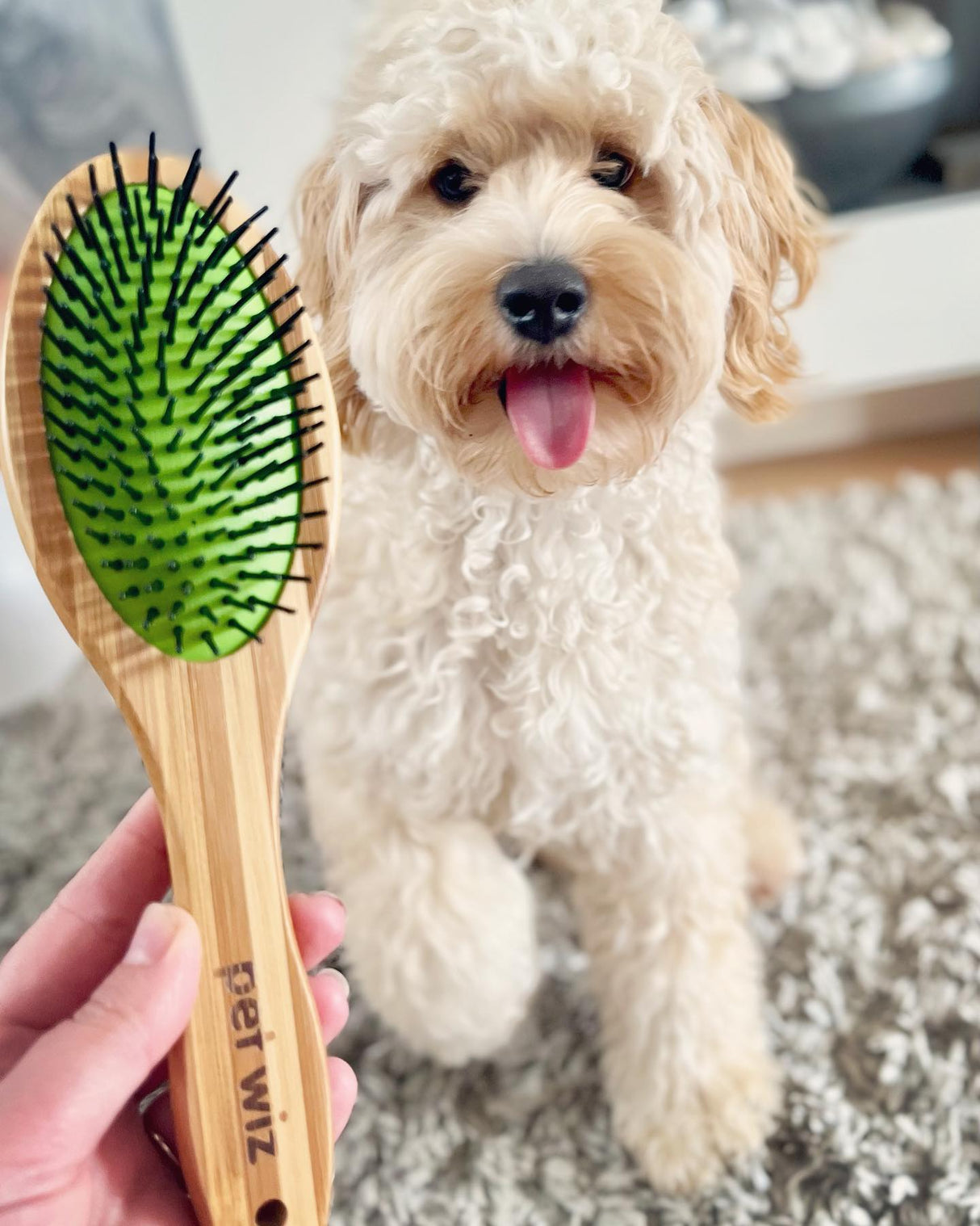 Double Sided Pin & Bristle Bamboo Brush for Dog Grooming Brush Pet Wiz