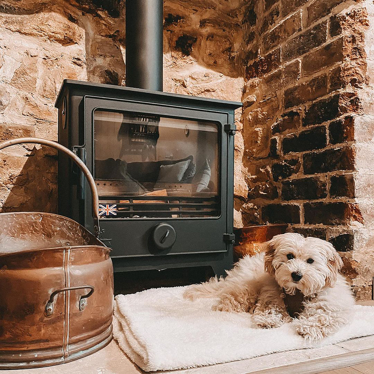 Fluffy Fleece Blanket - Soft & Warm Throw for Dogs & Cats Blankets Pet Wiz