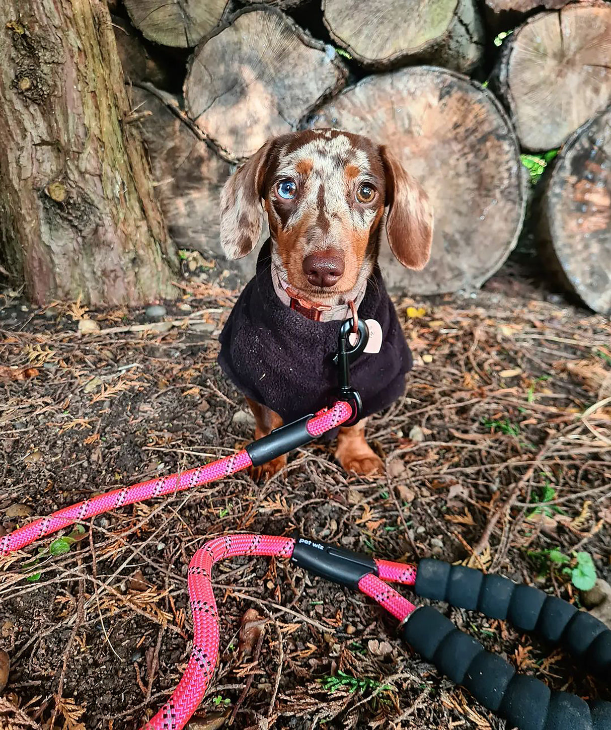 Dog Rope Lead With Reflective Stitching and Padded Handle - Size & Colour Options Collars Leads & Harnesses Pet Wiz