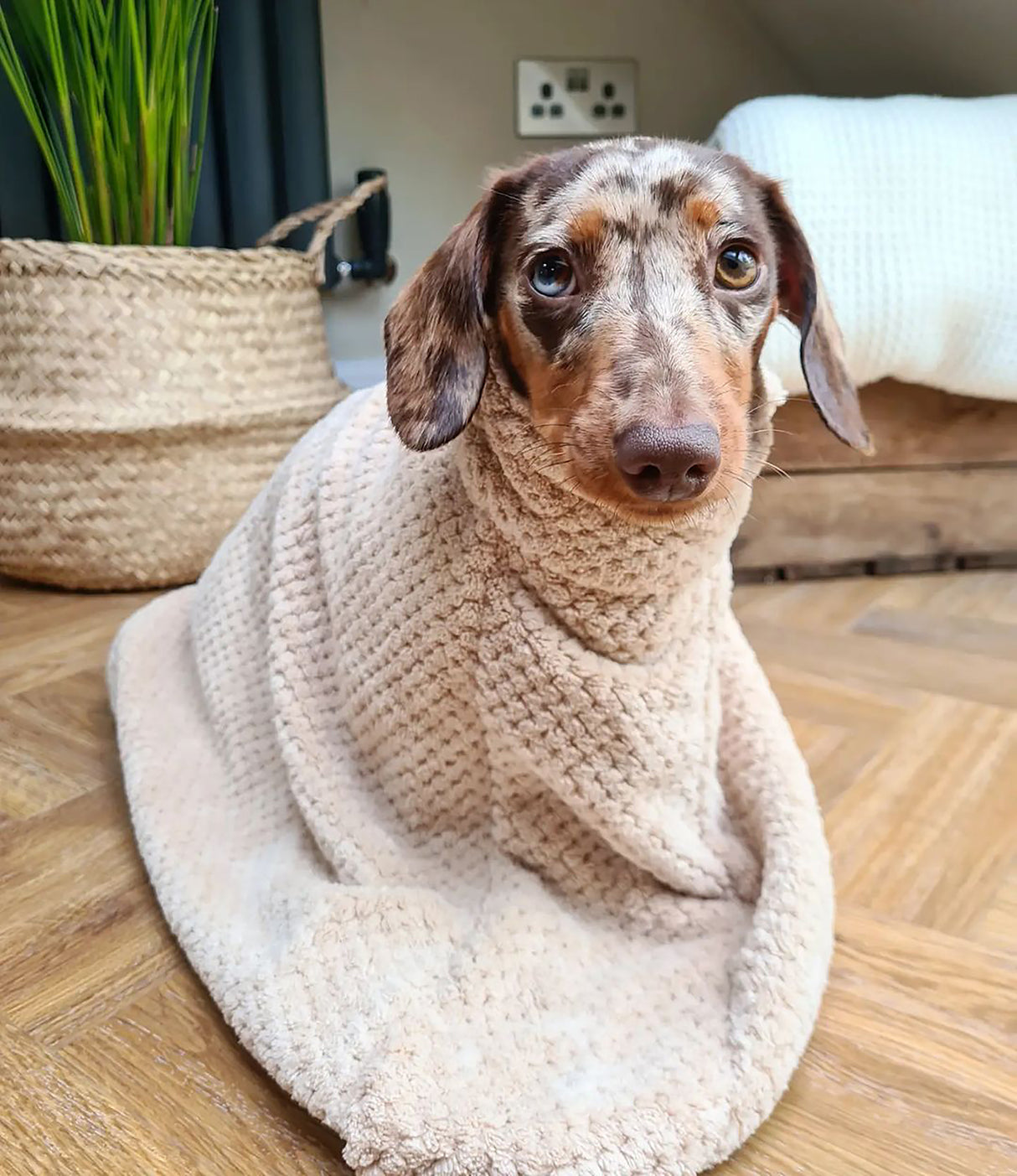 Premium Microfibre Dog Drying Bag | Super Absorbent & Fast Drying Bathrobe Towel Dog Apparel Pet Wiz