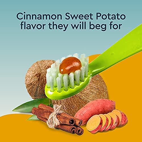 Canine Organic Dental Solutions Kit - Adult Dog Toothbrush RADIUS