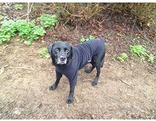 Dog Fleece / Jumper HOTTERdog