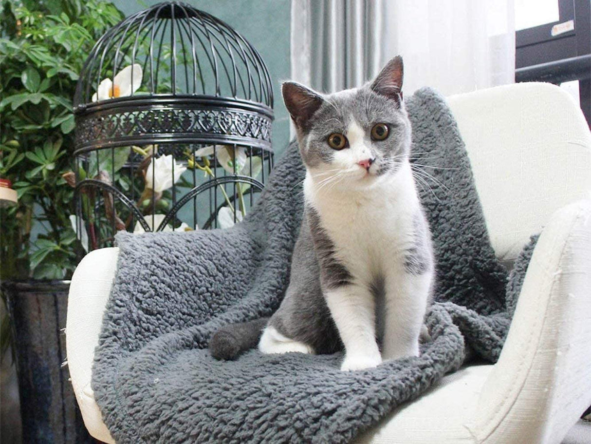 Fluffy Fleece Blanket - Soft & Warm Throw for Dogs & Cats Blankets Pet Wiz