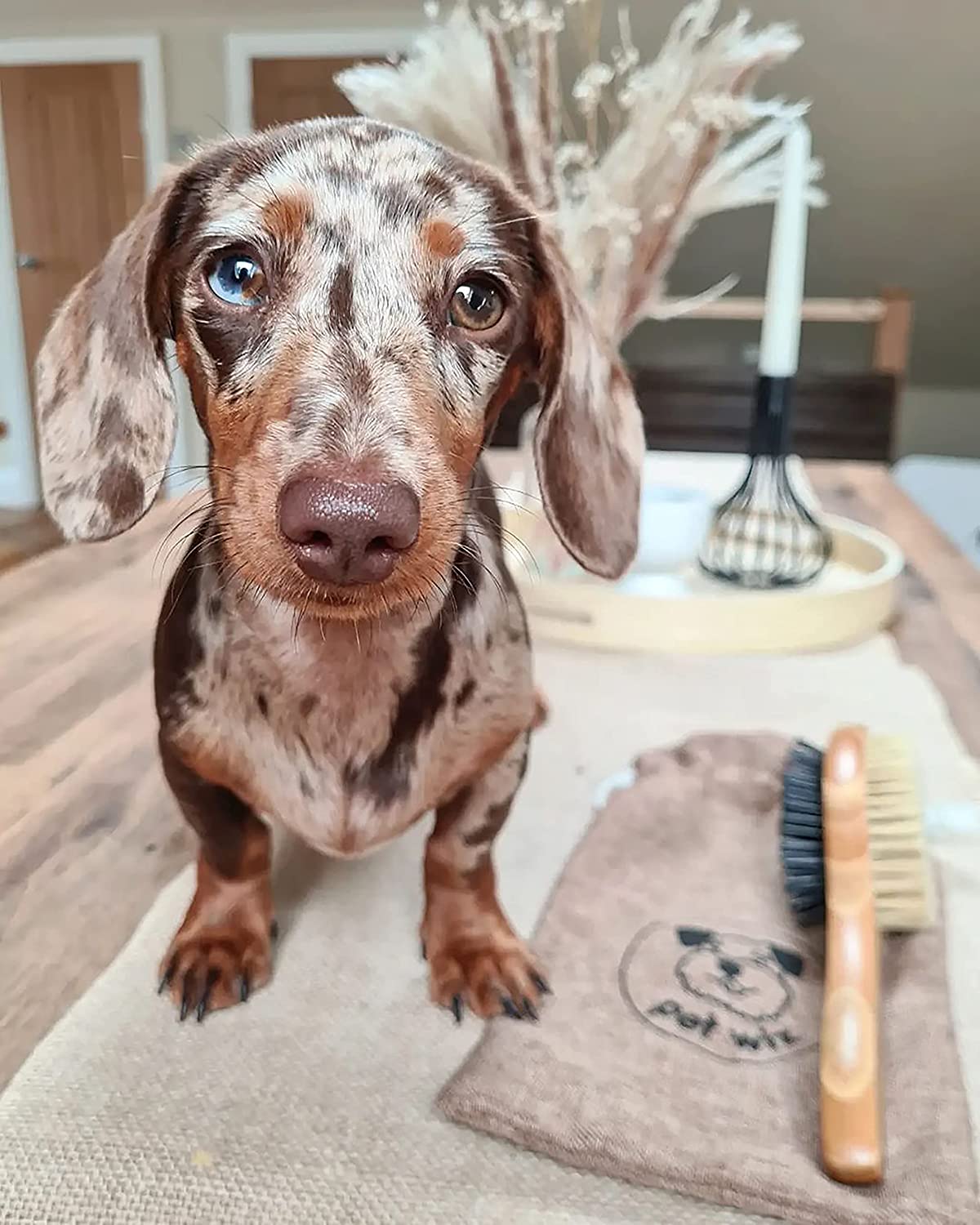 Double Sided Pin & Bristle Bamboo Brush for Dog Grooming Brush Pet Wiz