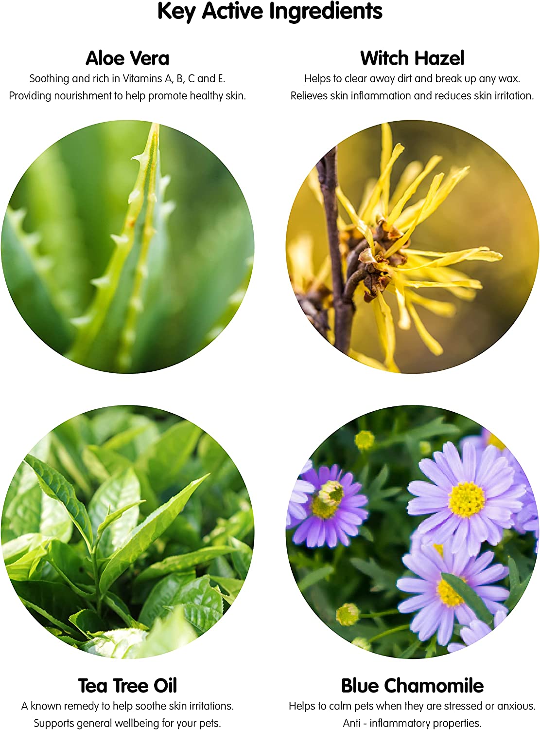 Ear Wipes for Dogs & Cats. Pet Wiz