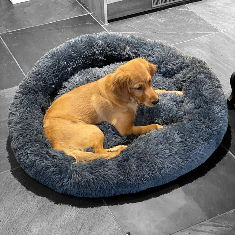 Soft Calming Donut Bed - Premium Quality For Dogs & Cats Pet Bed Pet Wiz
