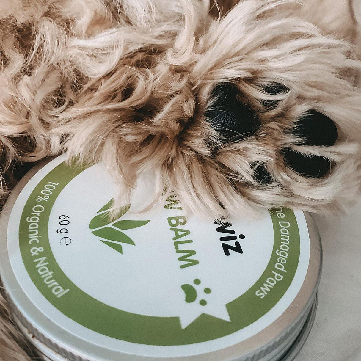 Organic Paw and Nose Balm for Dogs and Cats - Coconut Oil, Shea Butter, Vitamin E & Aloe Balm Pet Wiz