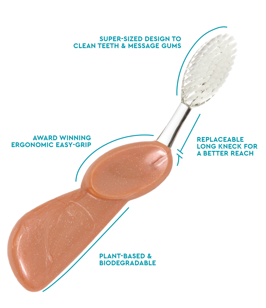 The Big Brush™ with Replaceable Head - Left Hand Toothbrush RADIUS Seashell Coral