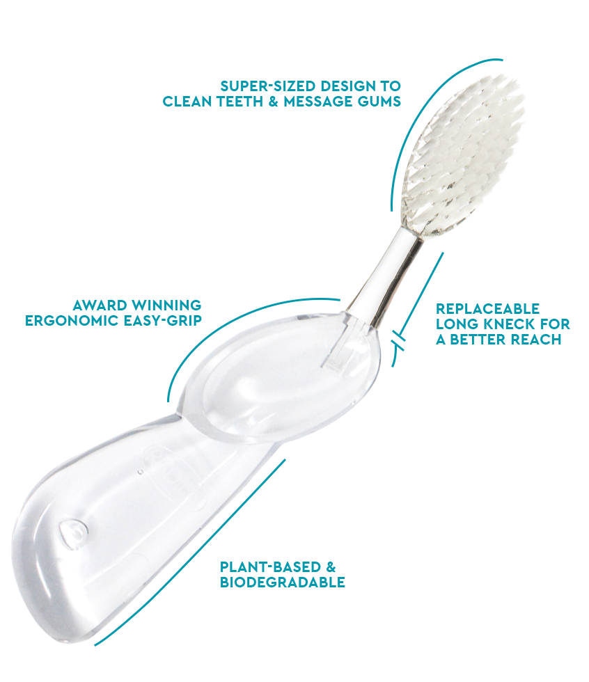 The Big Brush™ with Replaceable Head - Right Hand Toothbrush Radius Transparent  