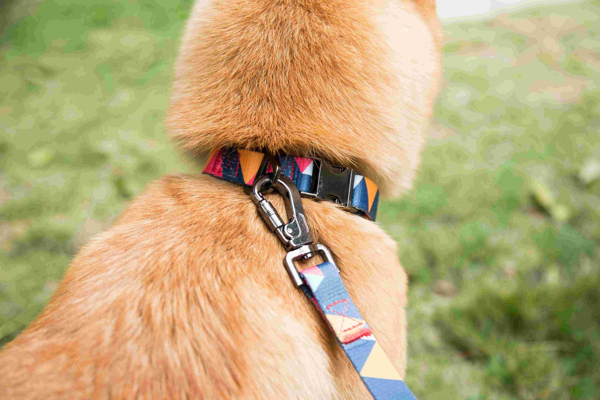 Geometric Collar, Lead, Harness Collars, Leads & Harnesses Pet Wiz