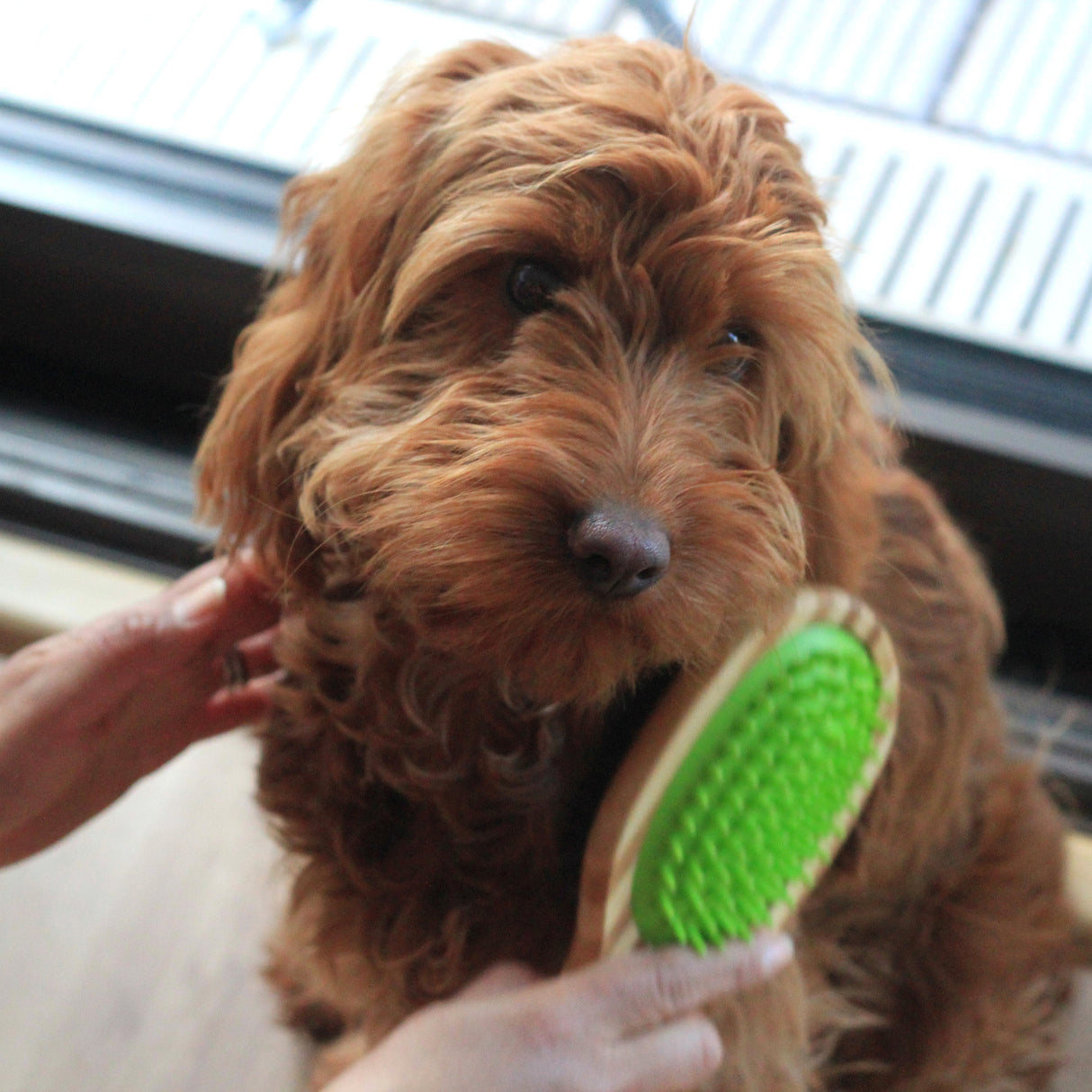 Double Sided Bamboo Dog Brush with Silicone Massager for Grooming Brush Pet Wiz
