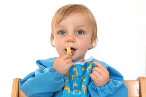 Long Sleeve Water Resistant Bib Baby Bandana Bibs Ana Wiz