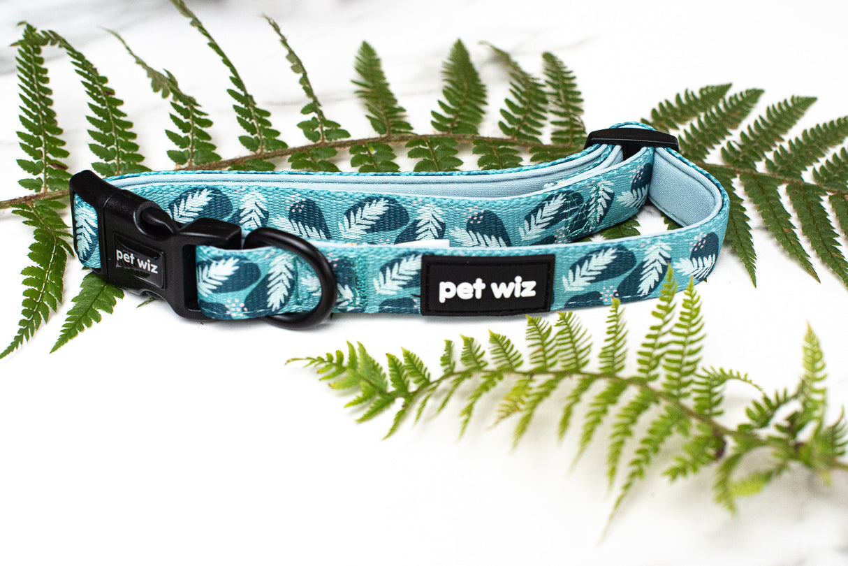 Walkies In The Wild - Collar Pet Wiz