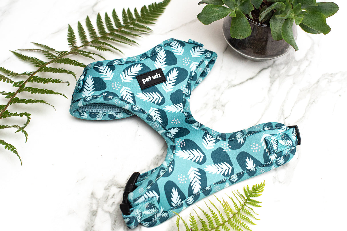 Walkies In The Wild - Harness Pet Wiz