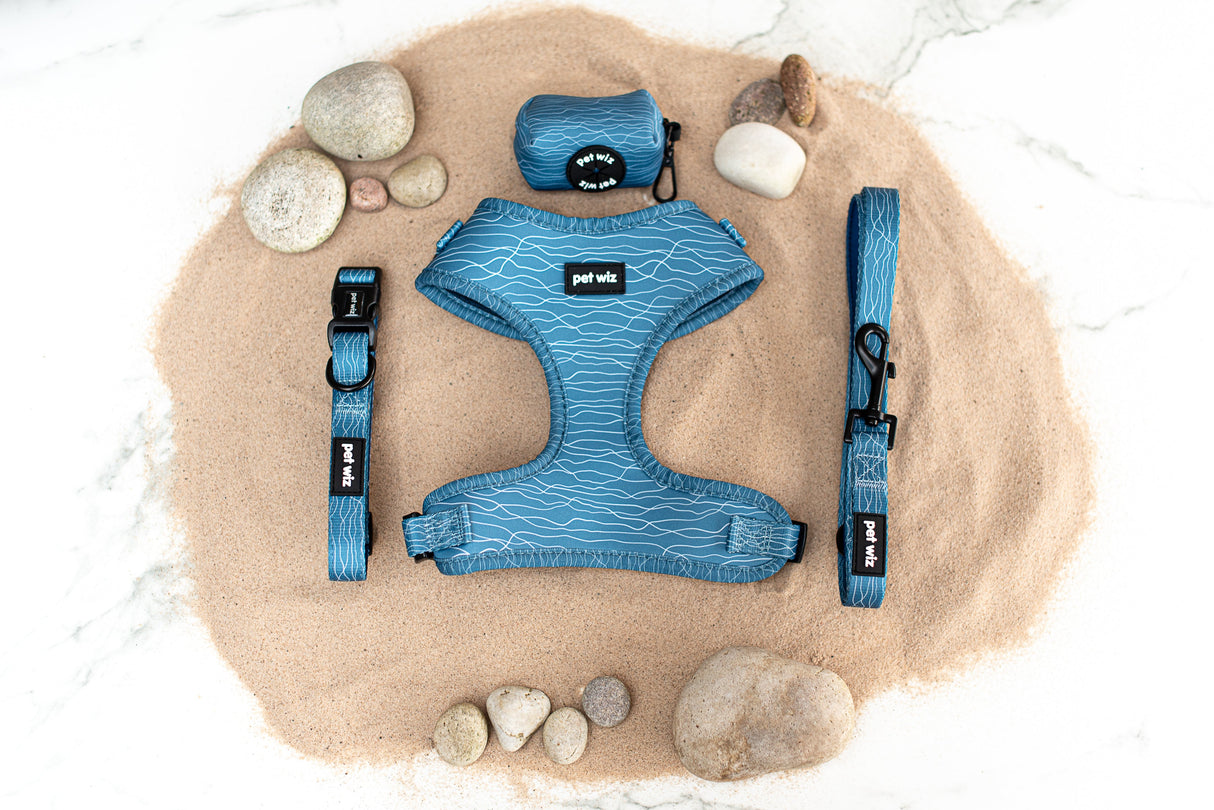 Pawfect Waves - Collar Pet Wiz
