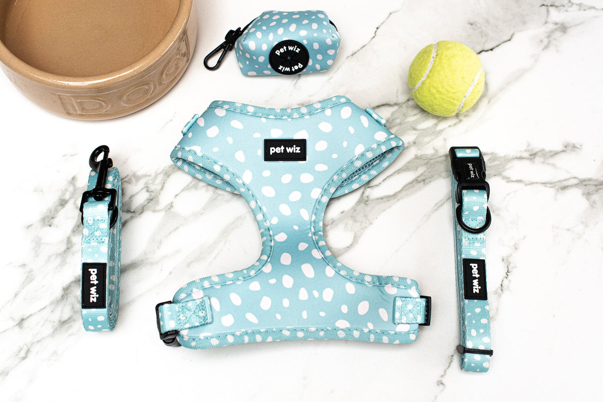 Dotty About You - Lead Pet Wiz