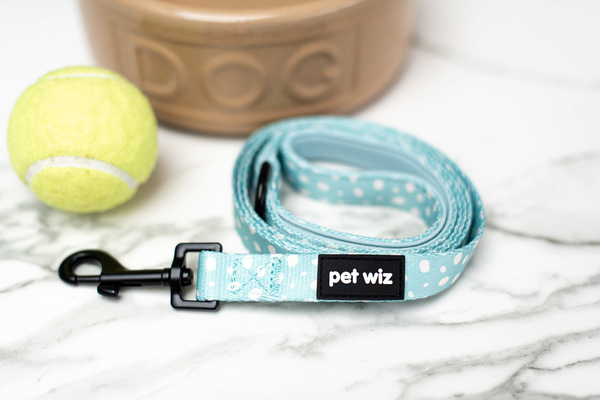 Dotty About You - Lead Pet Wiz