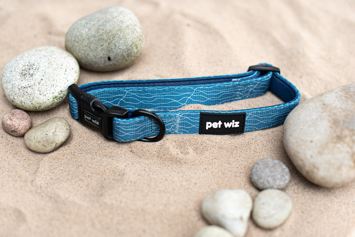 Pawfect Waves - Collar Pet Wiz