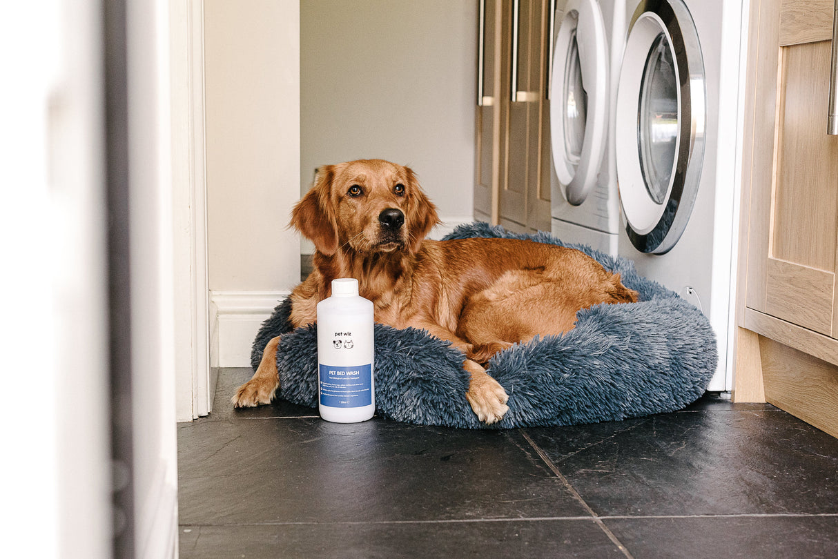 Pet Bed Wash - Non Biological Laundry Detergent Pet Wiz