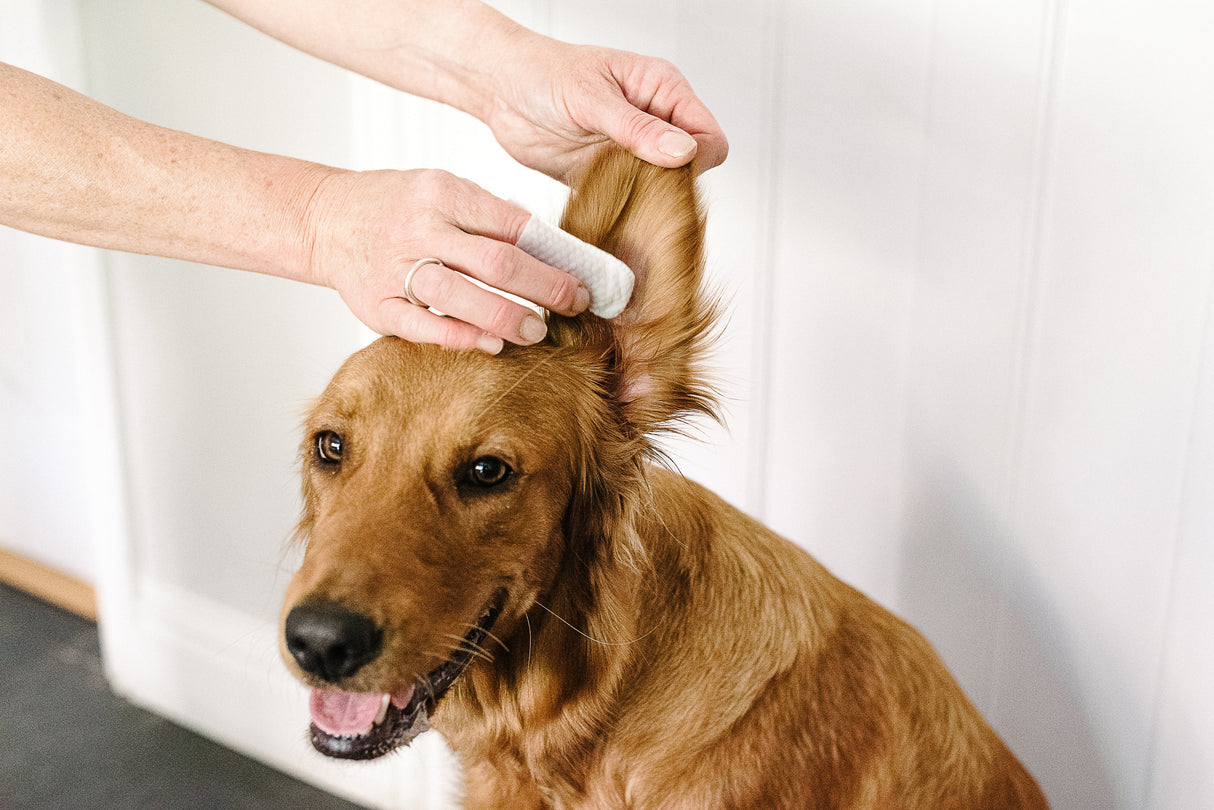 Ear Wipes for Dogs & Cats. Pet Wiz