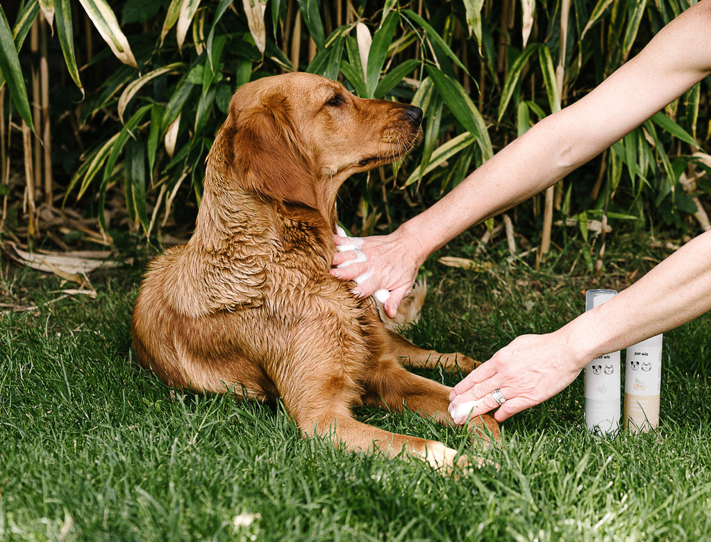 Dry Wash Shampoo for Pets – Soothing & Deodorising.  Pet Wiz   
