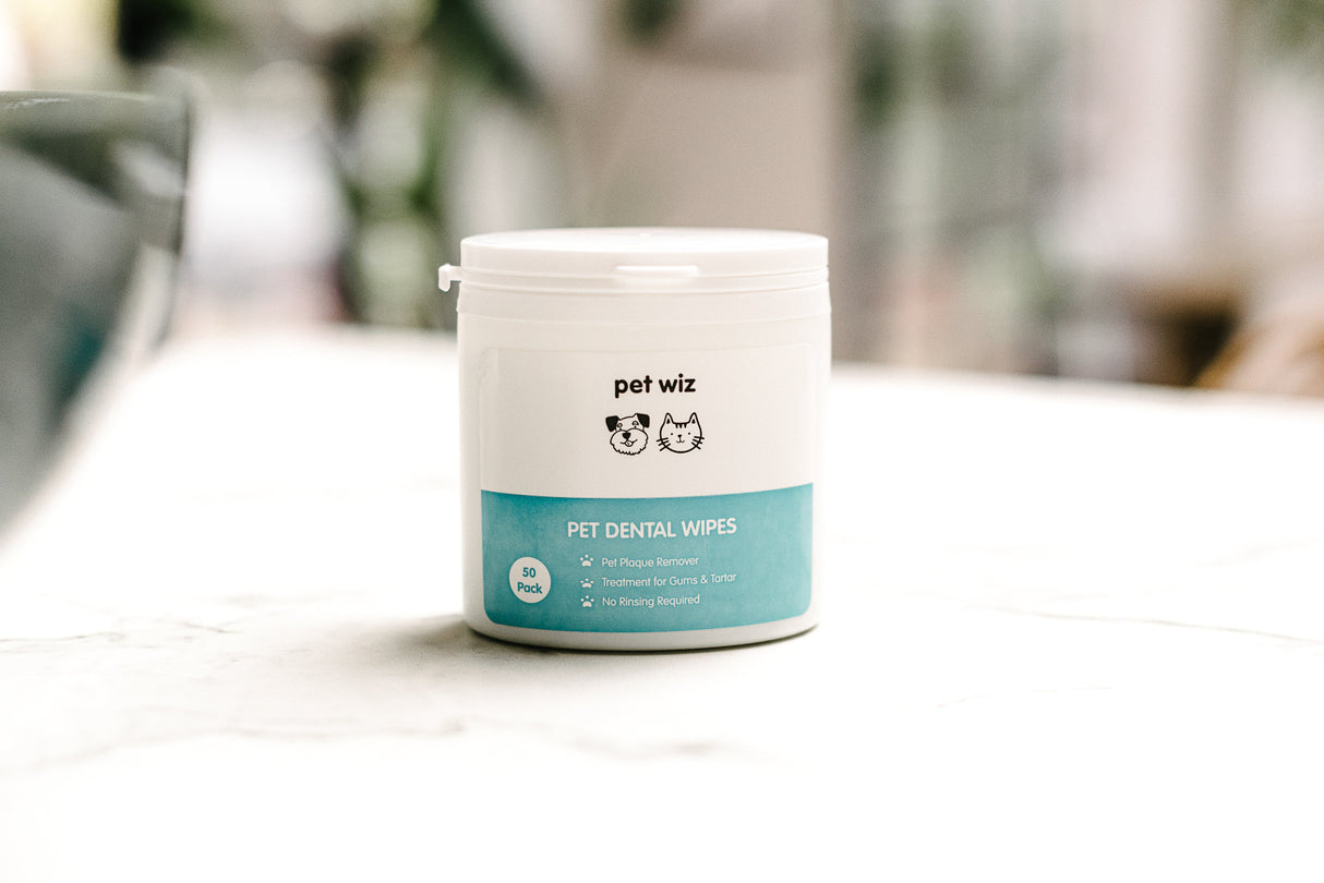 Dental Finger Wipes with Spearmint Oil for Dogs & Cats. Dog Supplies Pet Wiz