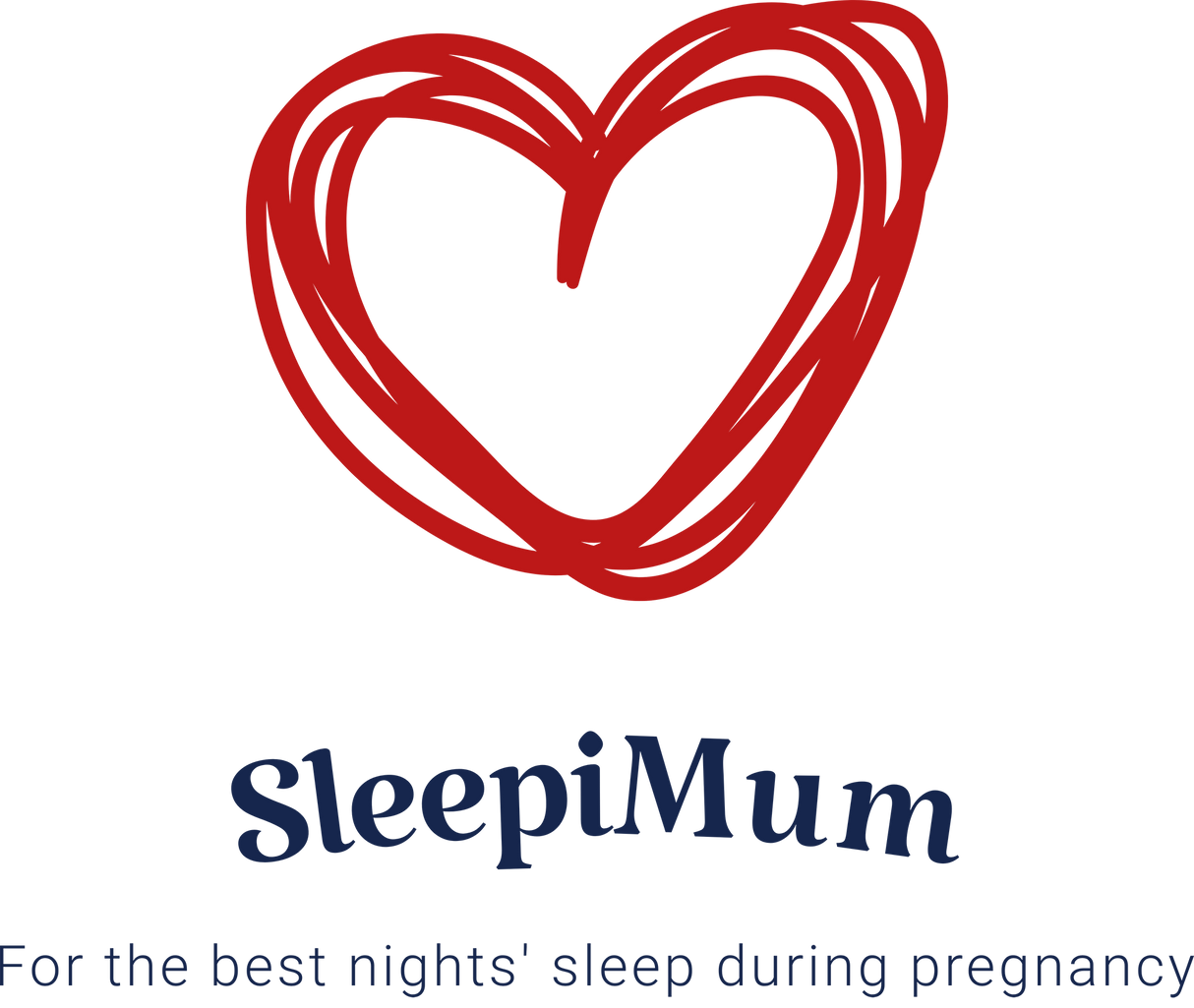 Pregnancy and Feeding Support Pillow Pregnancy Pillows SleepiMum