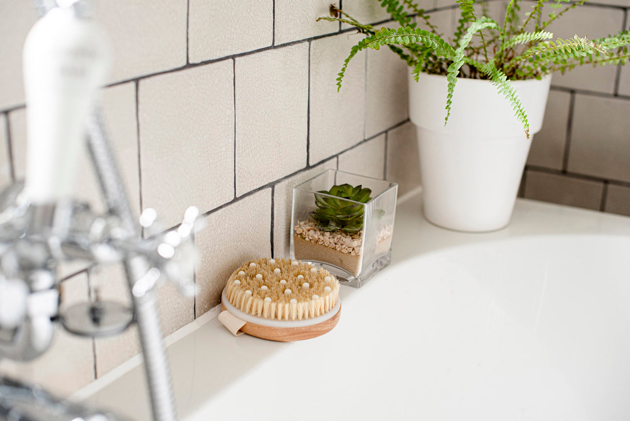 Salon body brushes