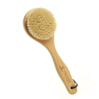 Body Brushes