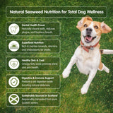 100% Organic Seaweed - Meal & Powder