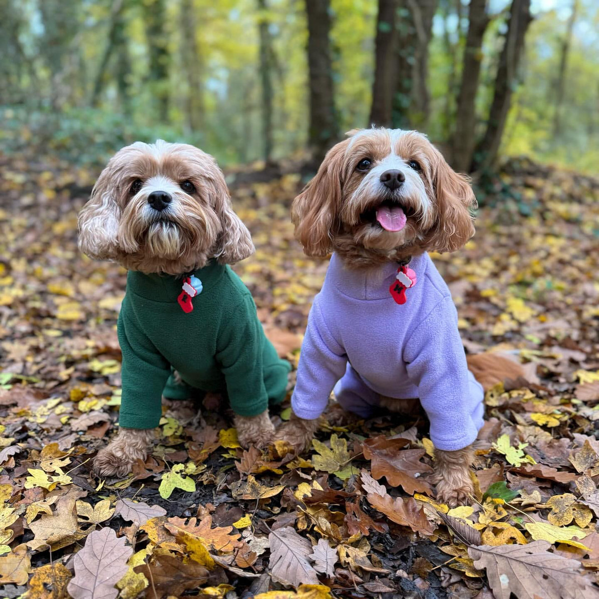 Four Legged Dog Fleece Jumpers Pet Wiz
